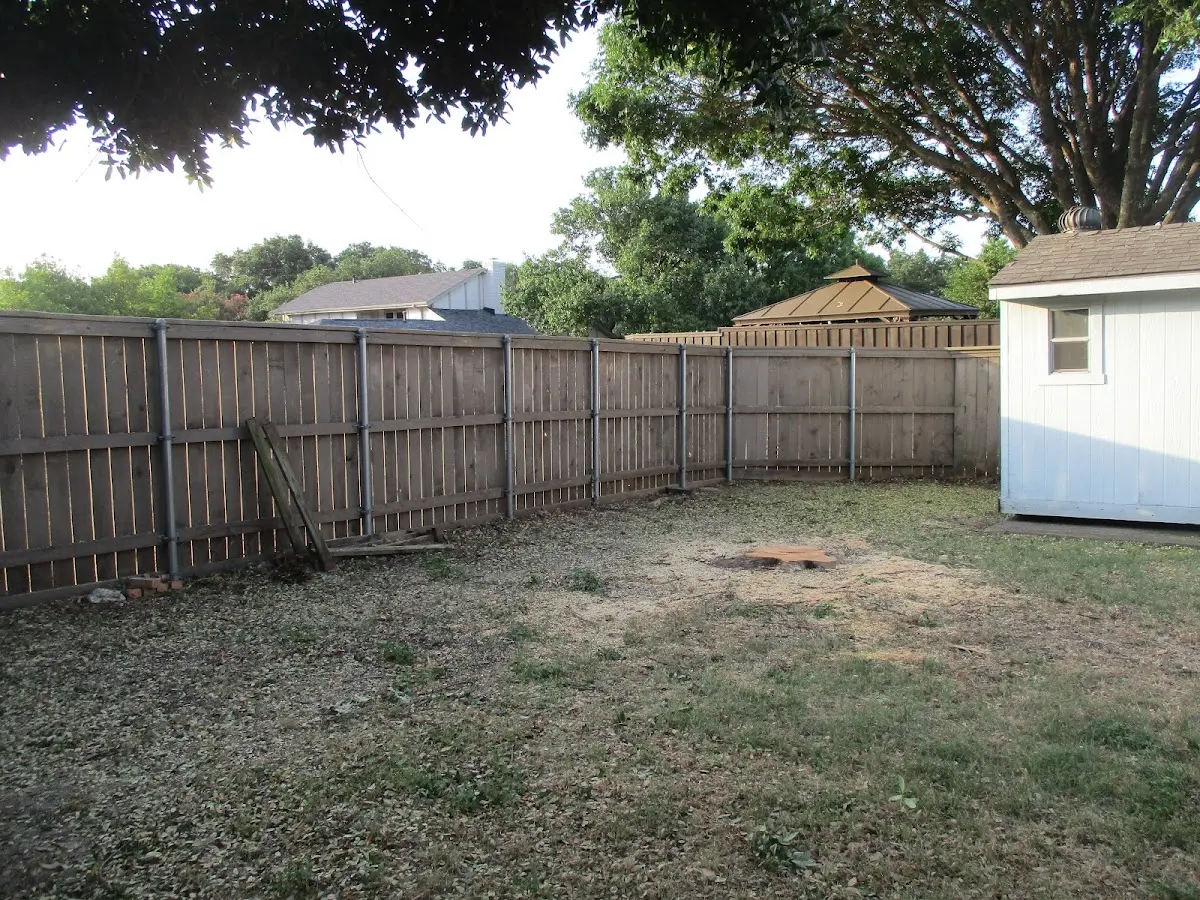 Cleared yard after professional tree removal in Cape May
